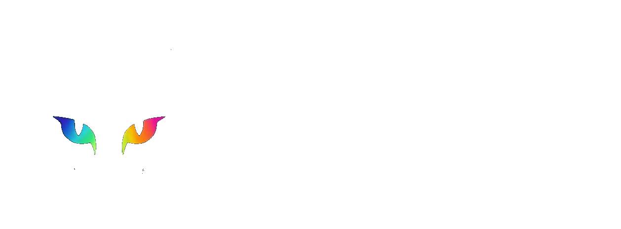 极视光智 logo